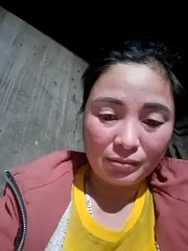 zanh99 online show from 11, 3, 2026