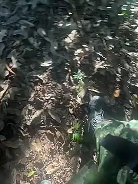 bibedro online show from 28, 2, 2026