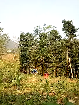 lyly sexx online show from 7, 4, 2026