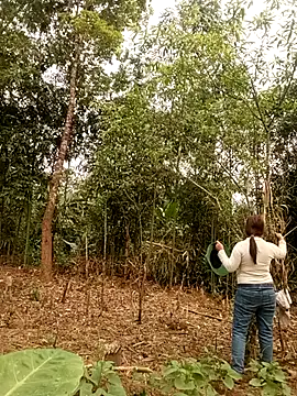 lyly sexx online show from 28, 3, 2026