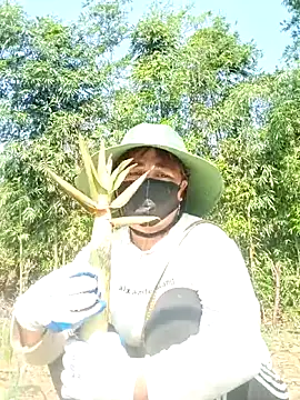 lyly sexx online show from 8, 4, 2026