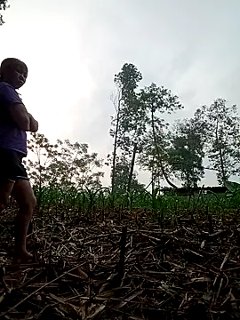 lyly sexx online show from 16, 4, 2026