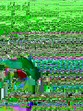 midsize 94 online show from 26, 2, 2026