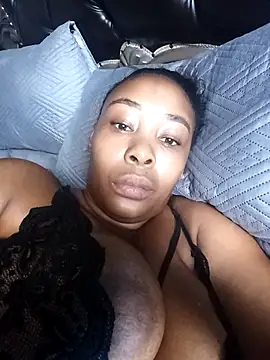 Catpili online show from 7, 3, 2026