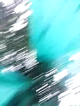 single kitten online show from 2, 4, 2026