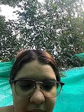 single kitten online show from 3, 3, 2026