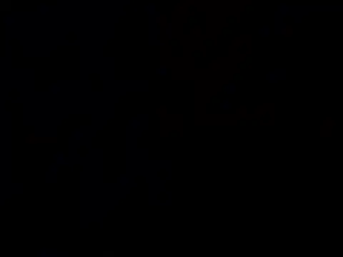 Nutty2in1 online show from 28, 2, 2026