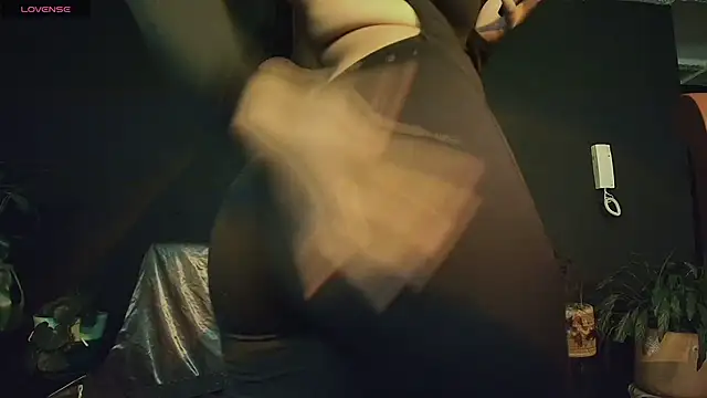 softnicol  online show from 4, 3, 2026