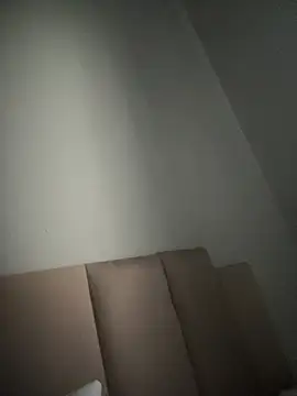 magrinhoGStZ8 online show from 26, 2, 2026