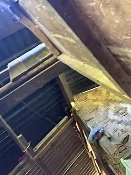 Hotjake2026 online show from 6, 3, 2026