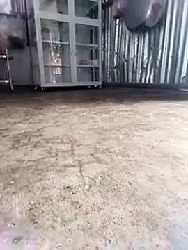 Malisa-aa online show from 11, 3, 2026