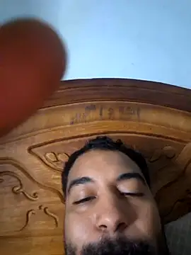 wolf297 online show from 26, 2, 2026