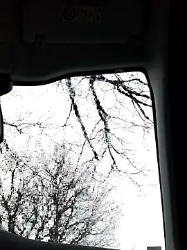 lui8181 online show from 11, 3, 2026