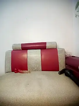 Meow cute online show from 4, 4, 2026