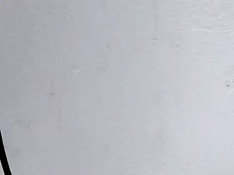 Snapshot of Cute_Mango1 chatting on 28, 2, 2026 Cute Mango1 online show from 28, 2, 2026