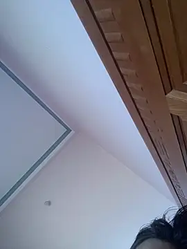 E-ll-A01 online show from 4, 3, 2026