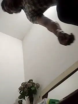 Rocky boy4 online show from 18, 3, 2026