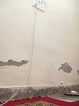 Olivia 101 online show from 5, 3, 2026