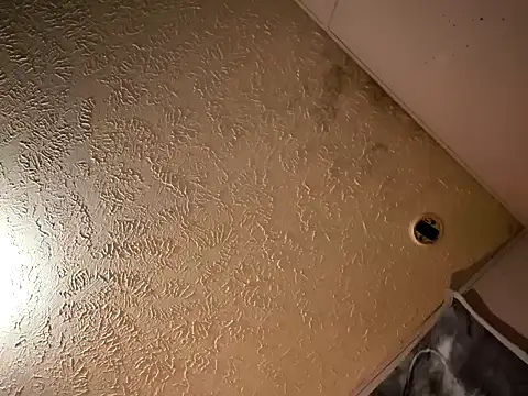 justalittlecountry87 online show from 28, 2, 2026