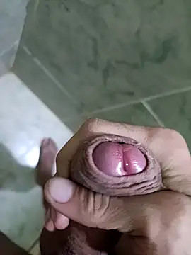 litoteam online show from 1, 3, 2026