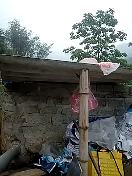 dualeo11 online show from 27, 3, 2026