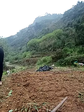 dualeo11 online show from 12, 3, 2026