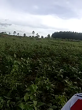 smallville26 online show from 23, 4, 2026