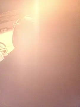 Goriluzdelam online show from 11, 4, 2026