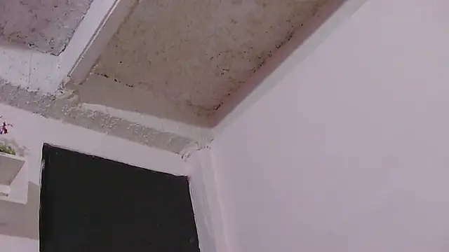 veronica moon8 online show from 4, 3, 2026