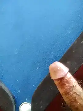 penis rosa online show from 3, 7, 2026