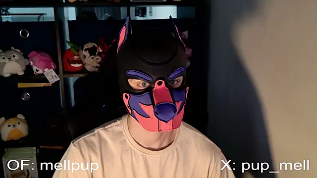Snapshot of MellPUP chatting on 25, 6, 2026 MellPUP online show from 25, 6, 2026
