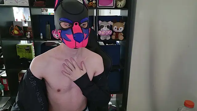 MellPUP online show from 31, 3, 2026