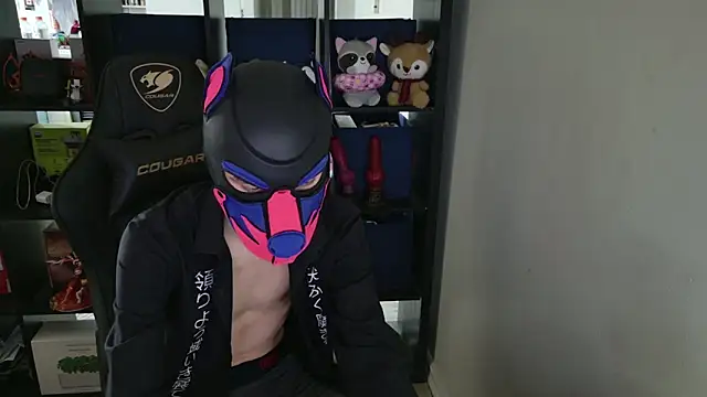 MellPUP online show from 2, 4, 2026