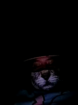 Charlygunslove online show from 3, 3, 2026