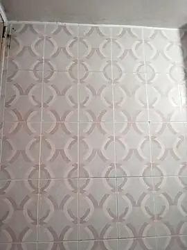 Star--Girl online show from 7, 3, 2026