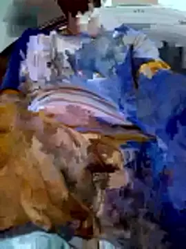 PgL 43 online show from 3, 3, 2026