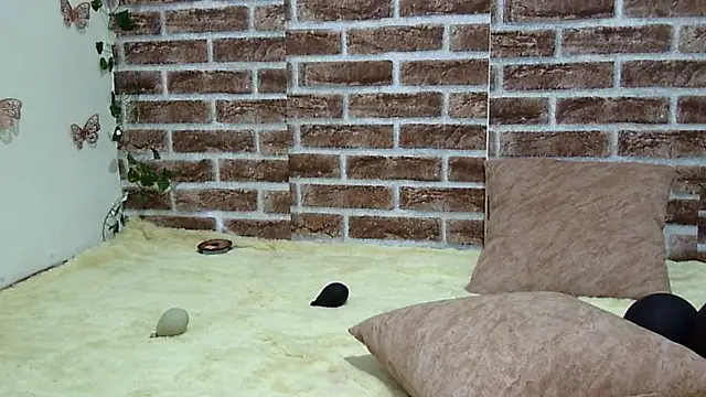 Katia Cutte online show from 15, 3, 2026