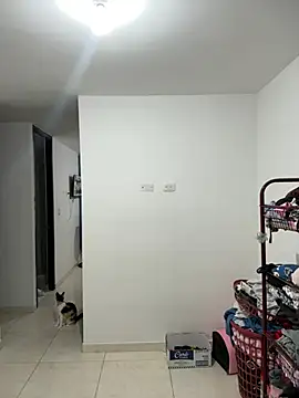 Nicole Cute04 online show from 14, 7, 2026