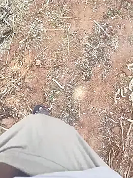 ActiveDick Telugu online show from 20, 3, 2026