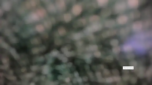 IVONE ASHAR online show from 14, 3, 2026