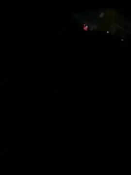 Andy11620dog online show from 4, 3, 2026