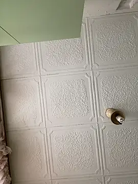 Wersew17 online show from 5, 3, 2026