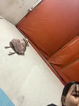 Nini-an online show from 7, 3, 2026