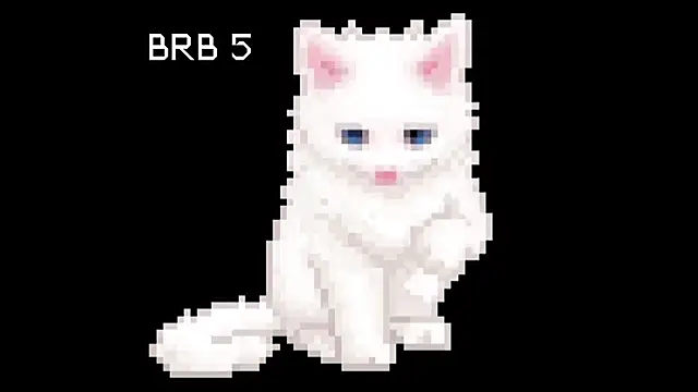 BlinkingDross online show from 1, 6, 2026