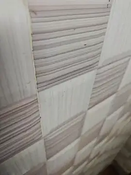 sanju470 online show from 21, 3, 2026