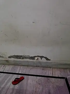 Itz ishu online show from 4, 4, 2026