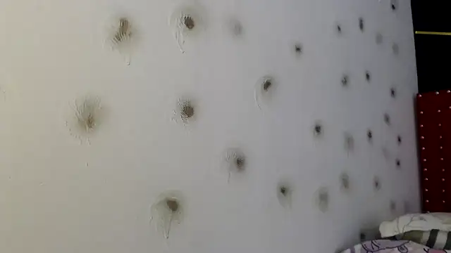 danielawidx online show from 15, 4, 2026