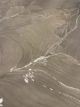 sharks90 online show from 10, 4, 2026