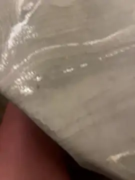 sharks90 online show from 15, 4, 2026