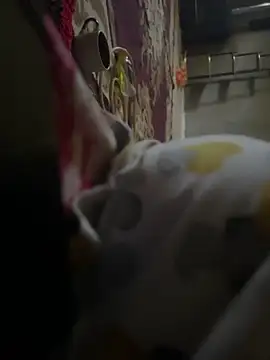 mohamed2113 online show from 17, 4, 2026